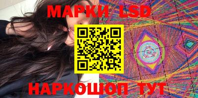 альфа пвп Новодвинск