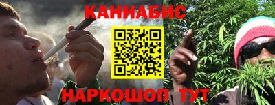 прущие крисы Новозыбков
