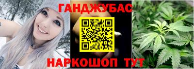 альфа пвп Новодвинск