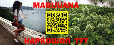 прущие крисы Новозыбков