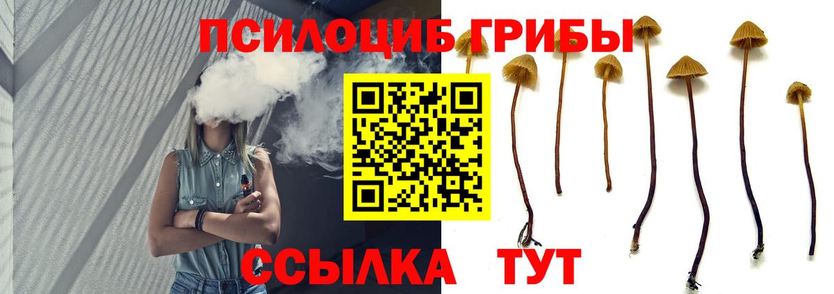 Галлюциногенные грибы GOLDEN TEACHER  Вход с VPN  Саранск 