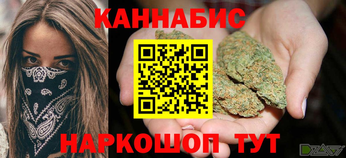 Бошки марихуана OG Kush  Марихуана план  Канабис тримм  Вход с VPN  Саранск 